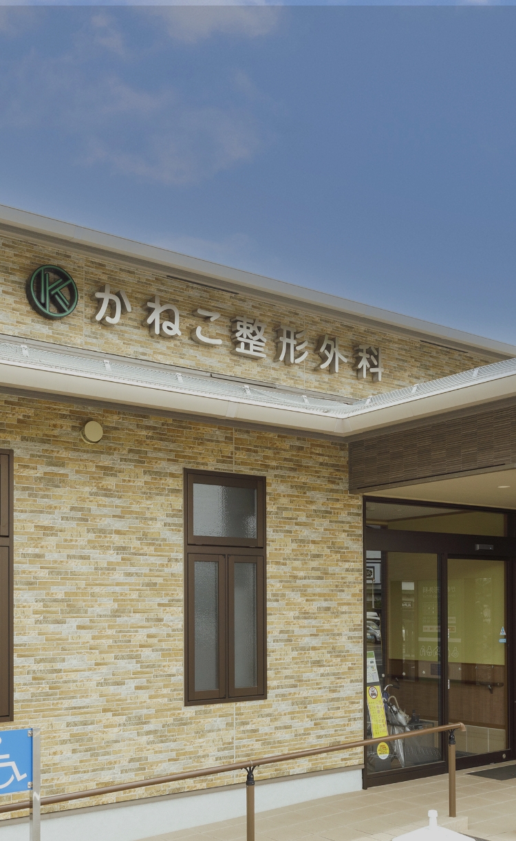 かねこ整形外科