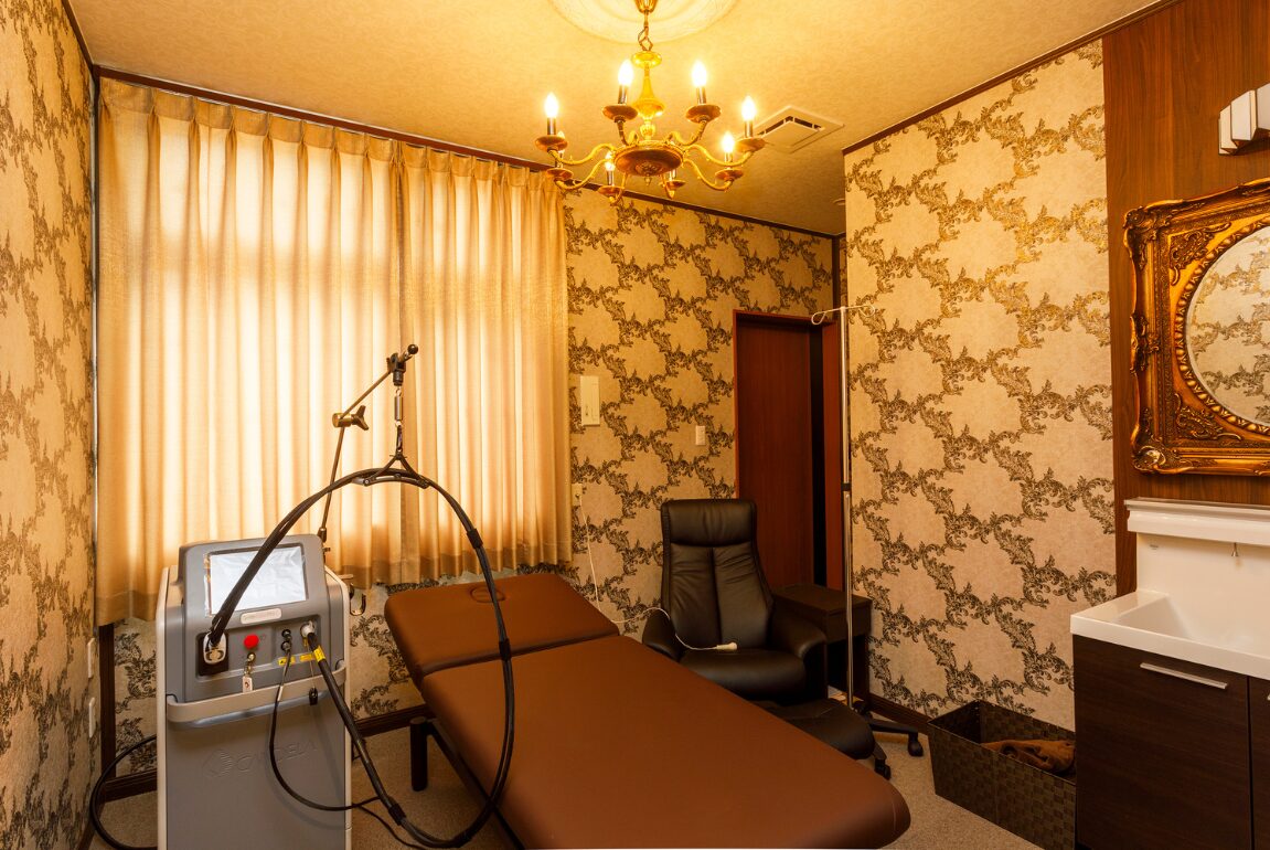 GentleLase Pro(ジェントルレーズ プロ)